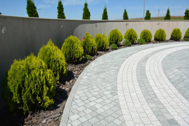 Best Local Driveway Pavers  in Mount Vernon, NY